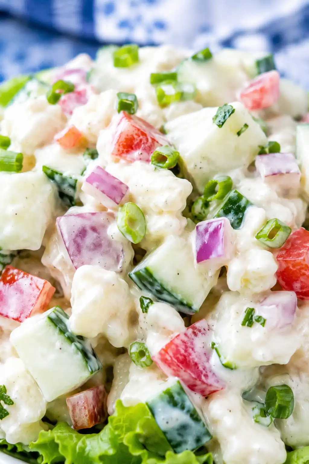 Cold Cucumber Chicken Salad