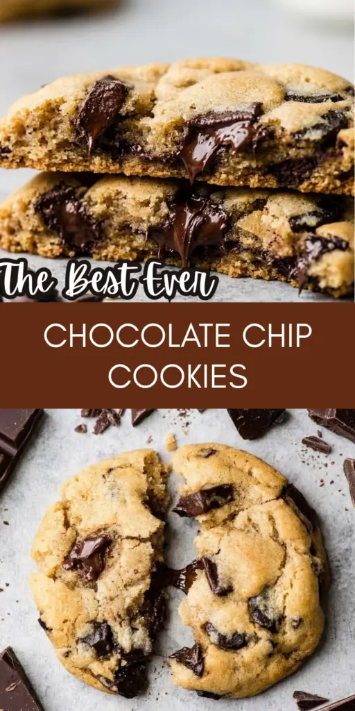 Chocolate Chip Cookie